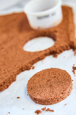 Sponge cake chocolat